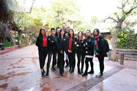 瑞馬壁掛爐：又經一年風雨，再創(chuàng)一路輝煌